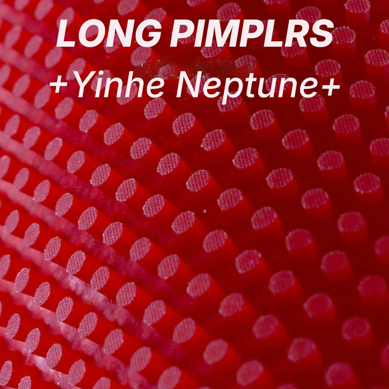 YINHE NEPTUNE Long Pimples Tab - Table Tennis Rubber Anti Spin บทวิจารณ์และราคา