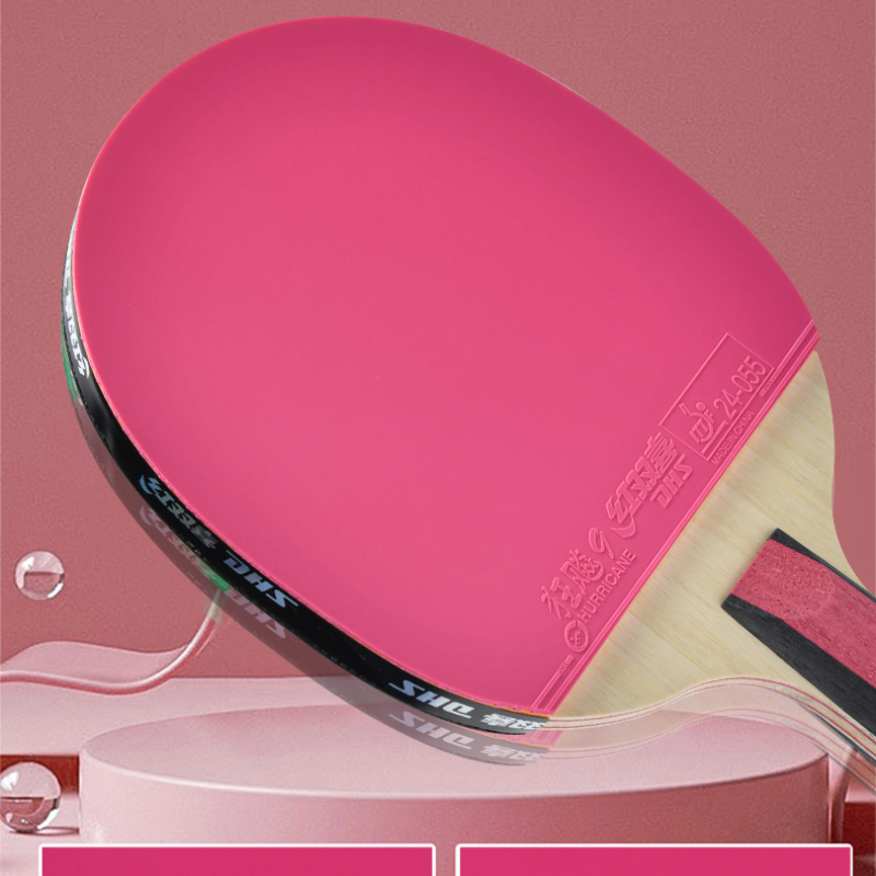 DHS 6 Star Table Tennis Racket - Table Tennis World บทวิจารณ์และราคา